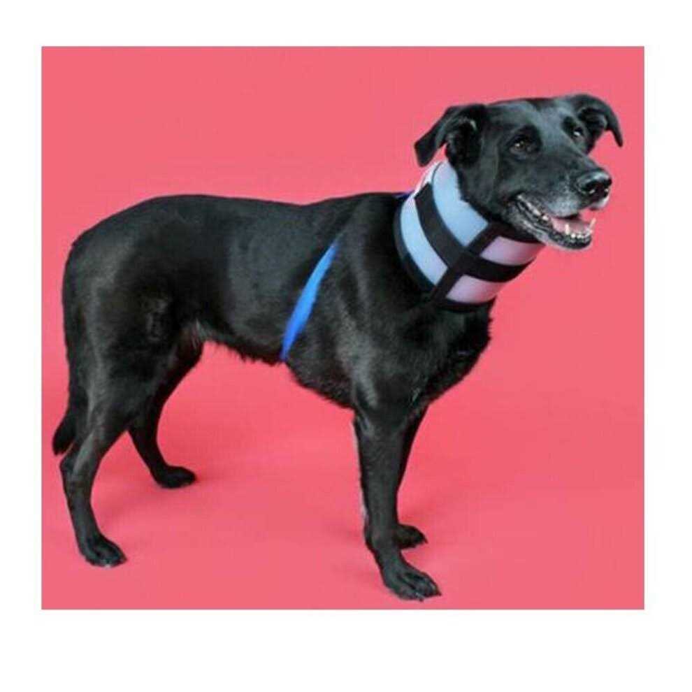 BiteNot Collar - Healthber