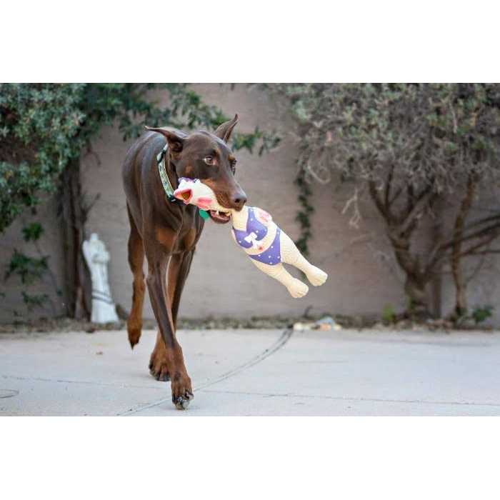 Charming Pet Squawkers Earl Dog Toy - Healthber