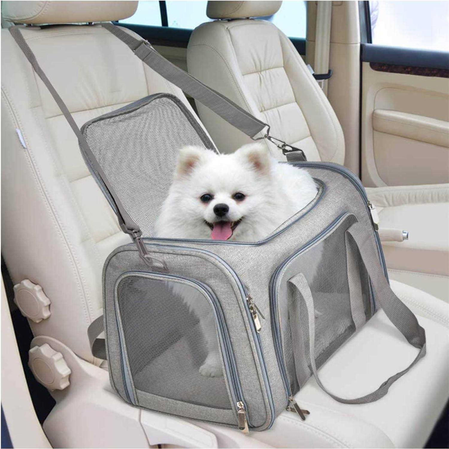 Wewdigi Pet Carrier for Cats, Dogs and Puppies - Healthber