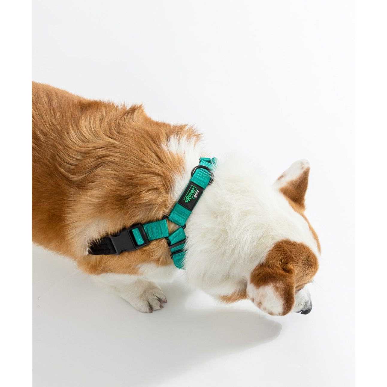 Rover Gear Better Walk No-Pull dog Harness - Healthber