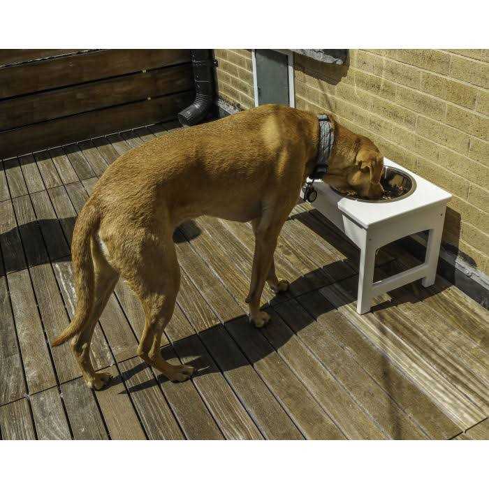 POLYWOOD Pet Feeder - Healthber