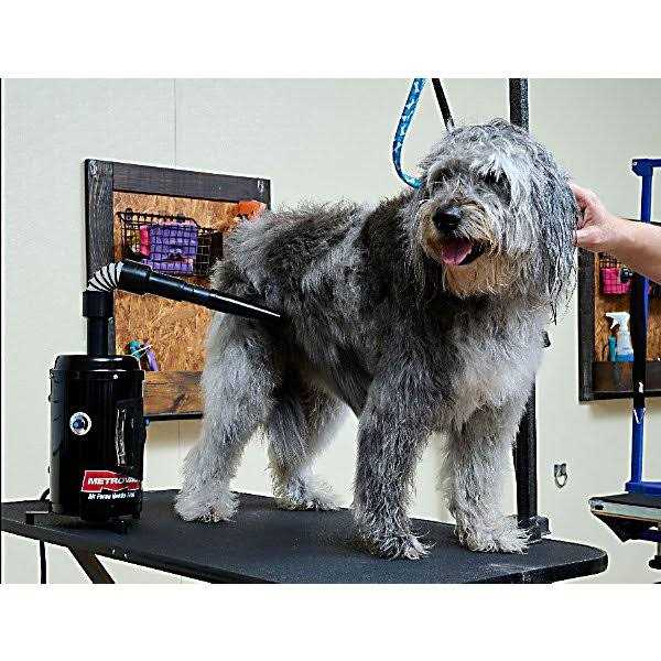 MetroVac Air Force Hands-Free Pet Dryer - Healthber
