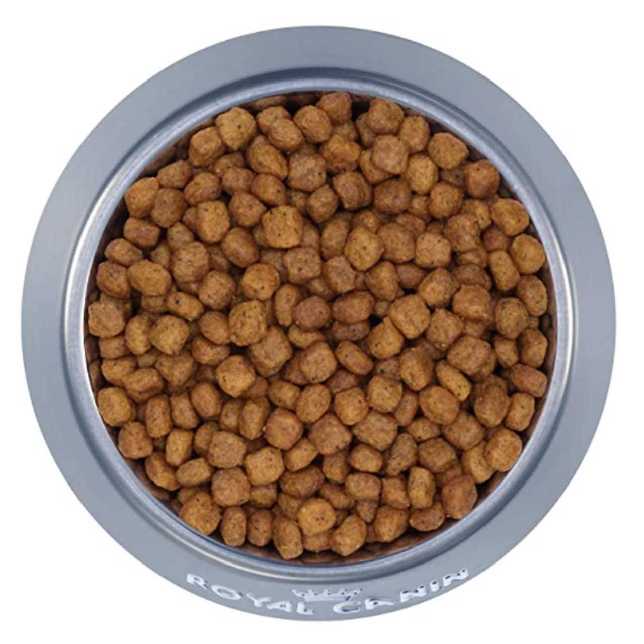 Royal Canin Feline Health Nutrition Indoor Mature 27 Cat Dry Food - Healthber