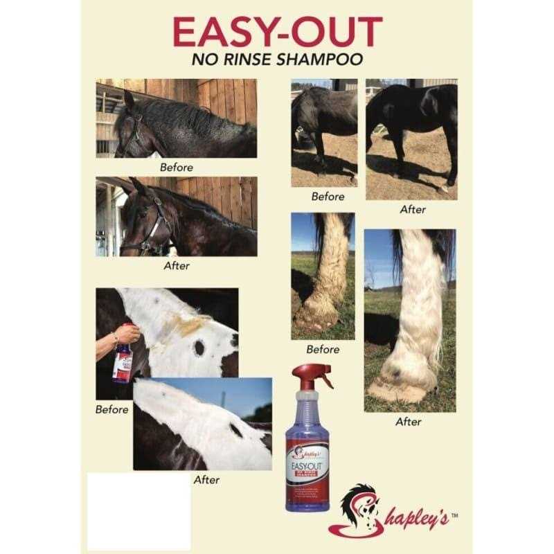 Shapley’s Easy Out No Rinse Shampoo - Healthber