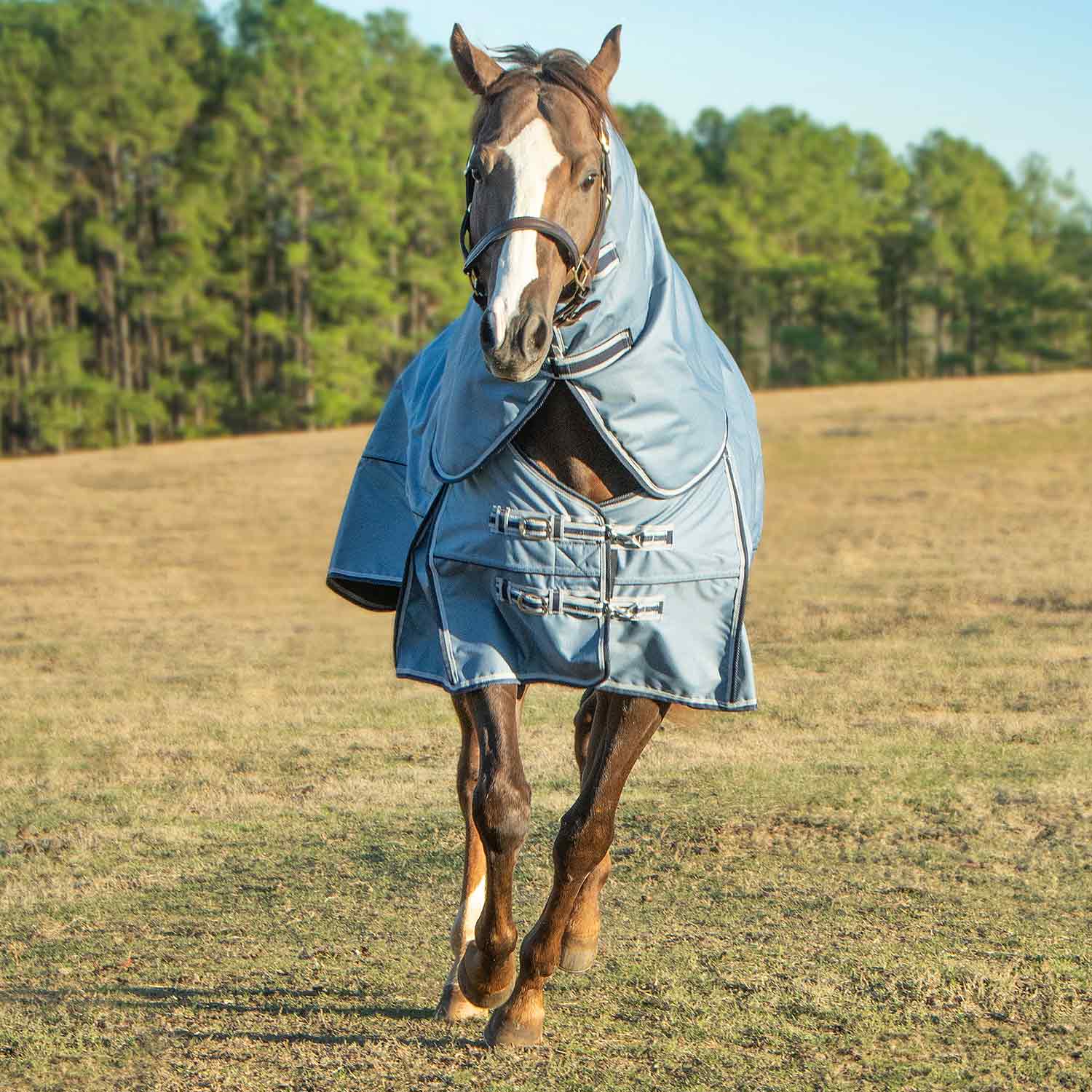 Poplar Head Refuge 1200 Denier Turnout Blanket with Detachable Neck, 360 Gram, Hamilton Blue - Healthber