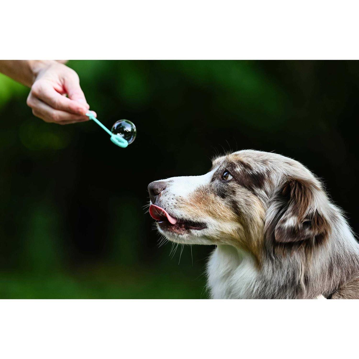 Puppy Love Bubbles Peanut Butter & Bacon Scented Bubbles 4oz. Bottle-2 Pack Combo for Dogs - Healthber