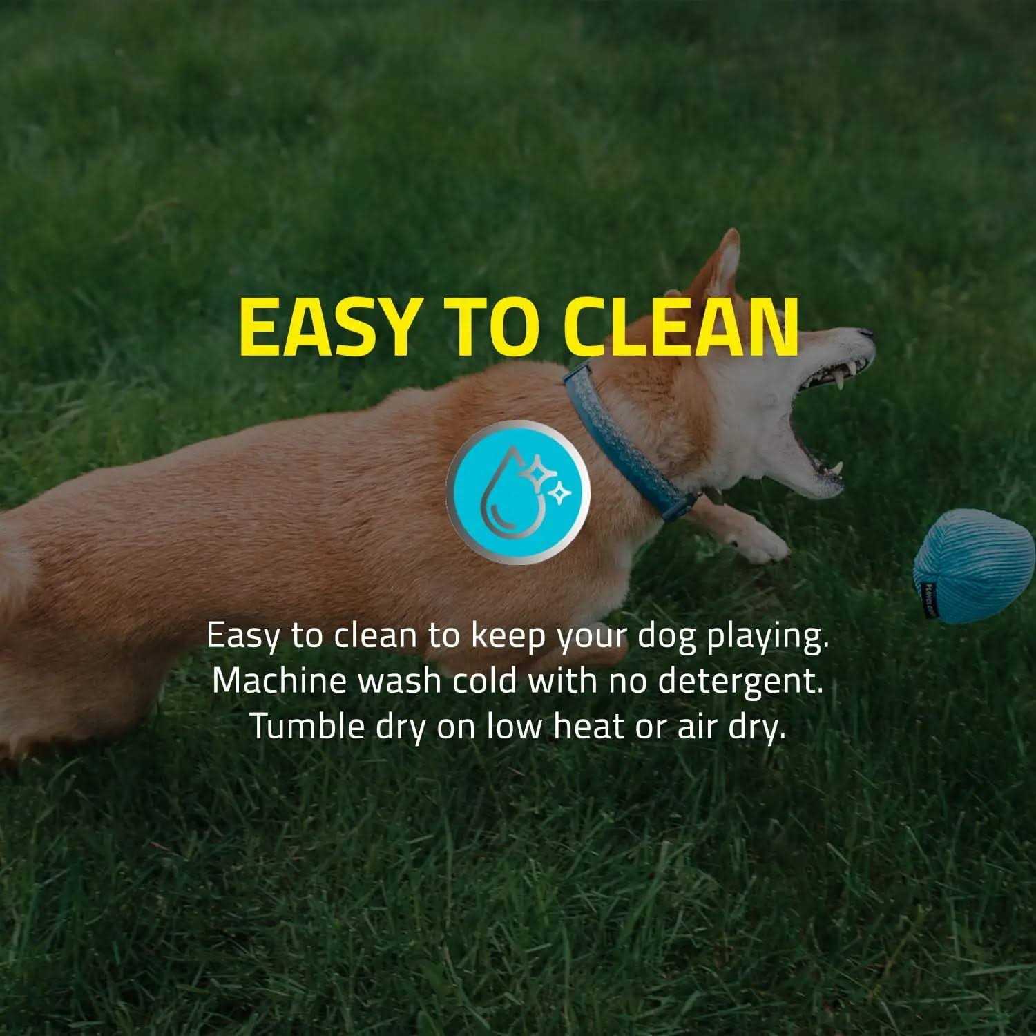 Playology Plush Ball Scented Dog Toy - Healthber