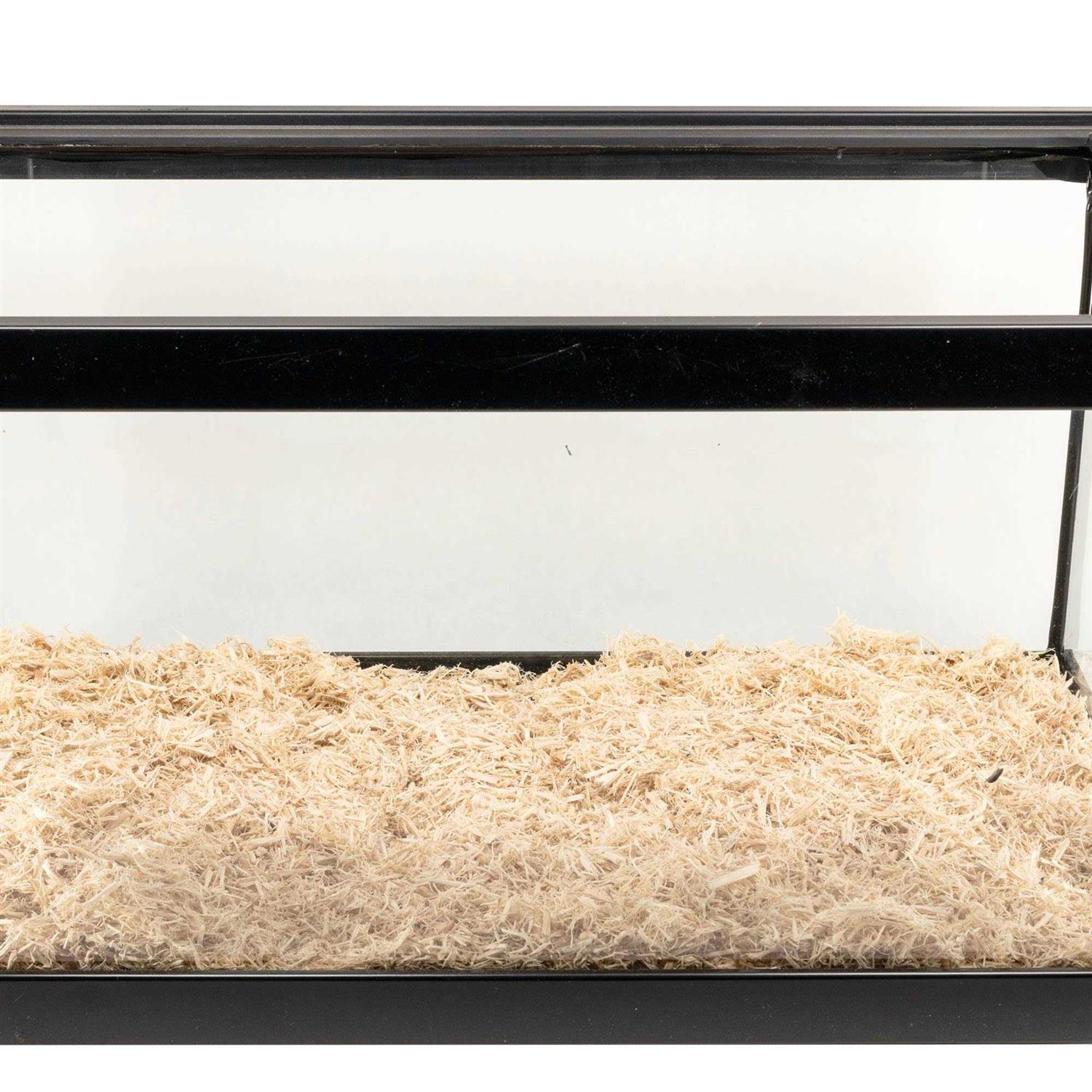 Zoo Med Aspen Snake Bedding - Healthber
