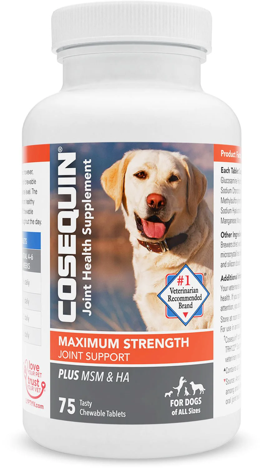 Nutramax Cosequin Maximum Strength Joint Health Plus MSM & Ha Supplement for Dogs - Healthber