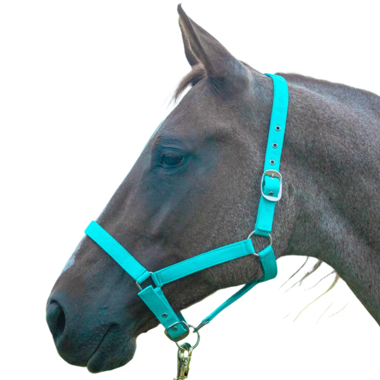 Adjustable Nylon Full Size Horse Halter - Healthber