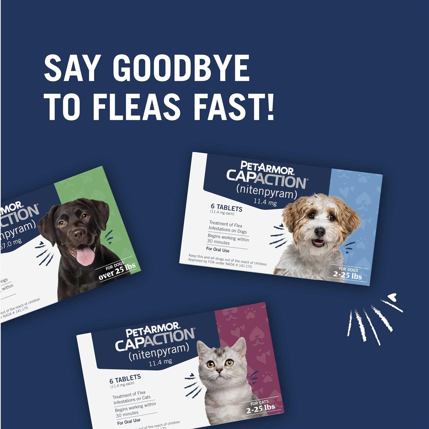 PetArmor CapAction Flea & Tick Capsules - Healthber