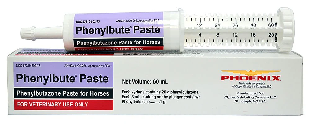 Rx Phenylbute Paste (phenylbutazone paste) for Horses, 60 mL - Healthber