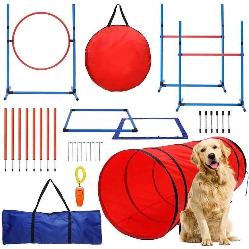 Willow Pet Products 15 Piece Dog Agility Course Backyard Set Dog Agility Training Equipment Set Includes - Healthber