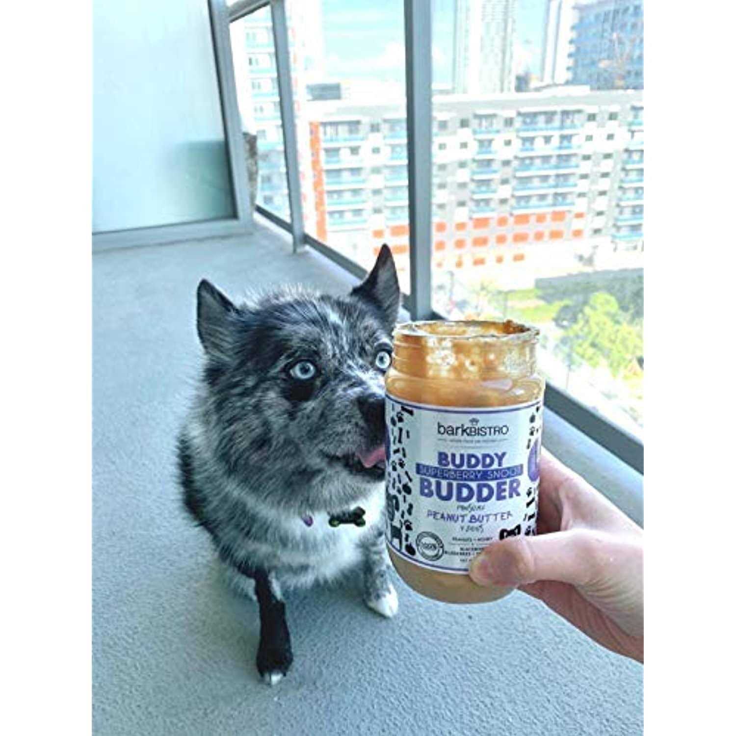 Bark Bistro Superberry Snoot Buddy Budder - Healthber