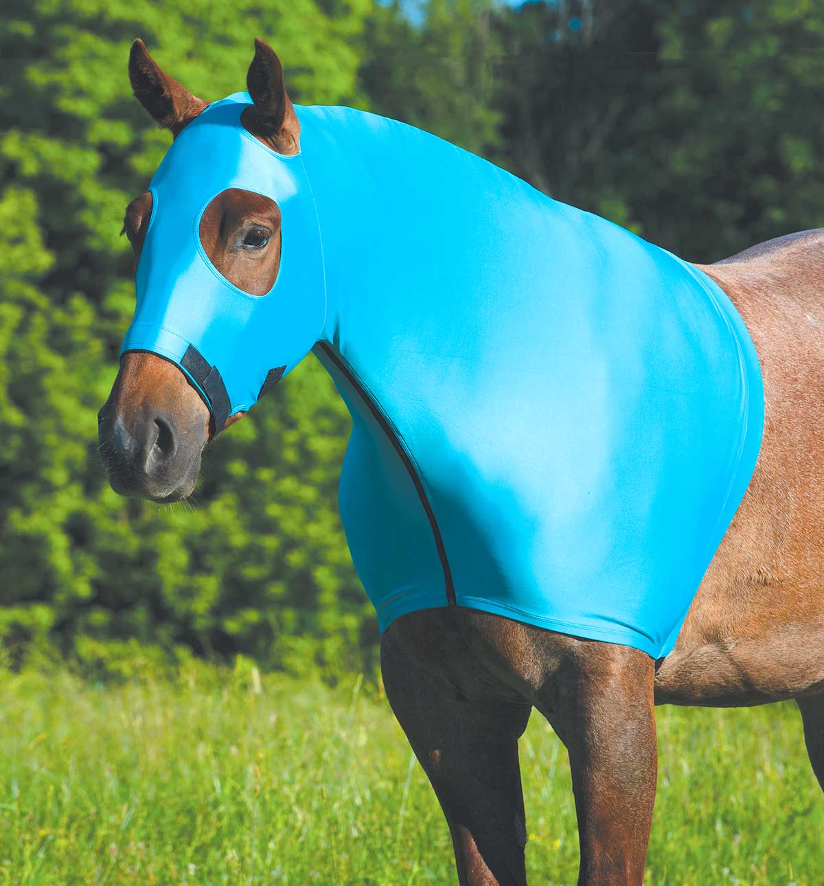 Coolcore Cooling Lycra Hood - Healthber