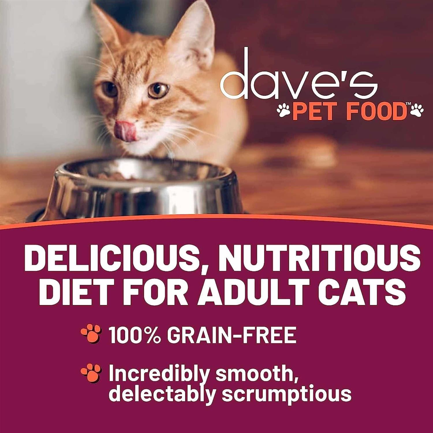 Dave’s Food Naturally Healthy Chicken Formula Canned Cat - Healthber