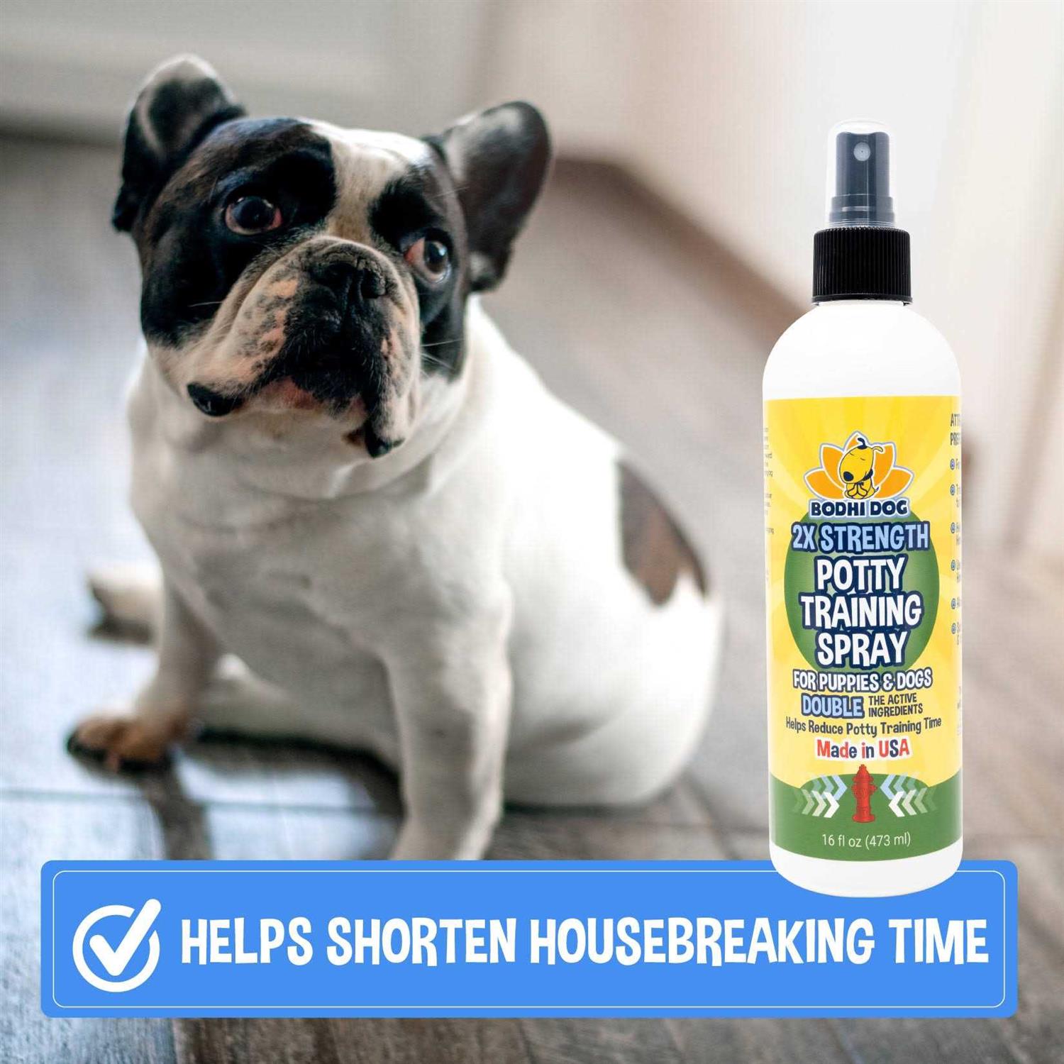 Bodhi Dog Potty Training Spray Indoor Outdoor Potty Training Aid for Dogs & Puppies - Healthber