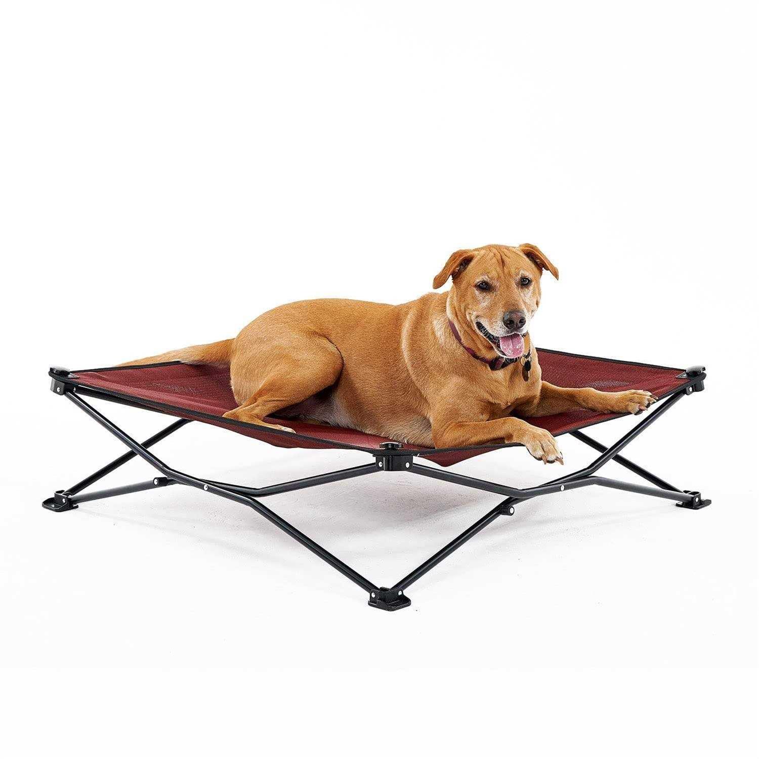 Coolaroo On-the-Go Elevated Pet Bed - Healthber
