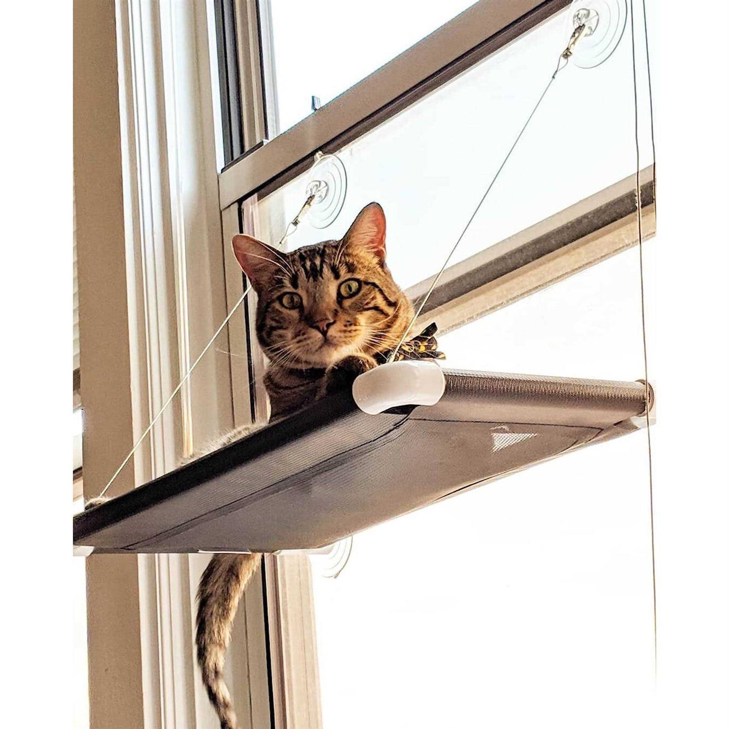 Kitty Cot Original World’s Best Cat Perch - Healthber