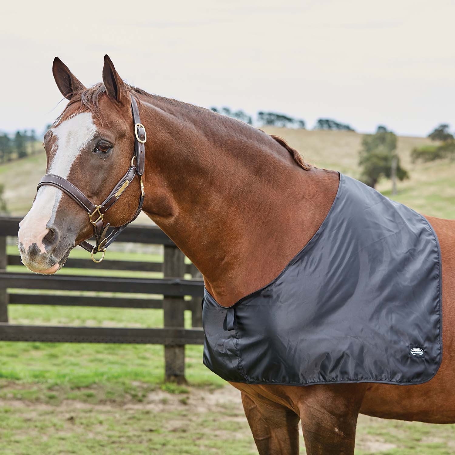 WeatherBeeta Satin Shoulder Guard, Black - Healthber