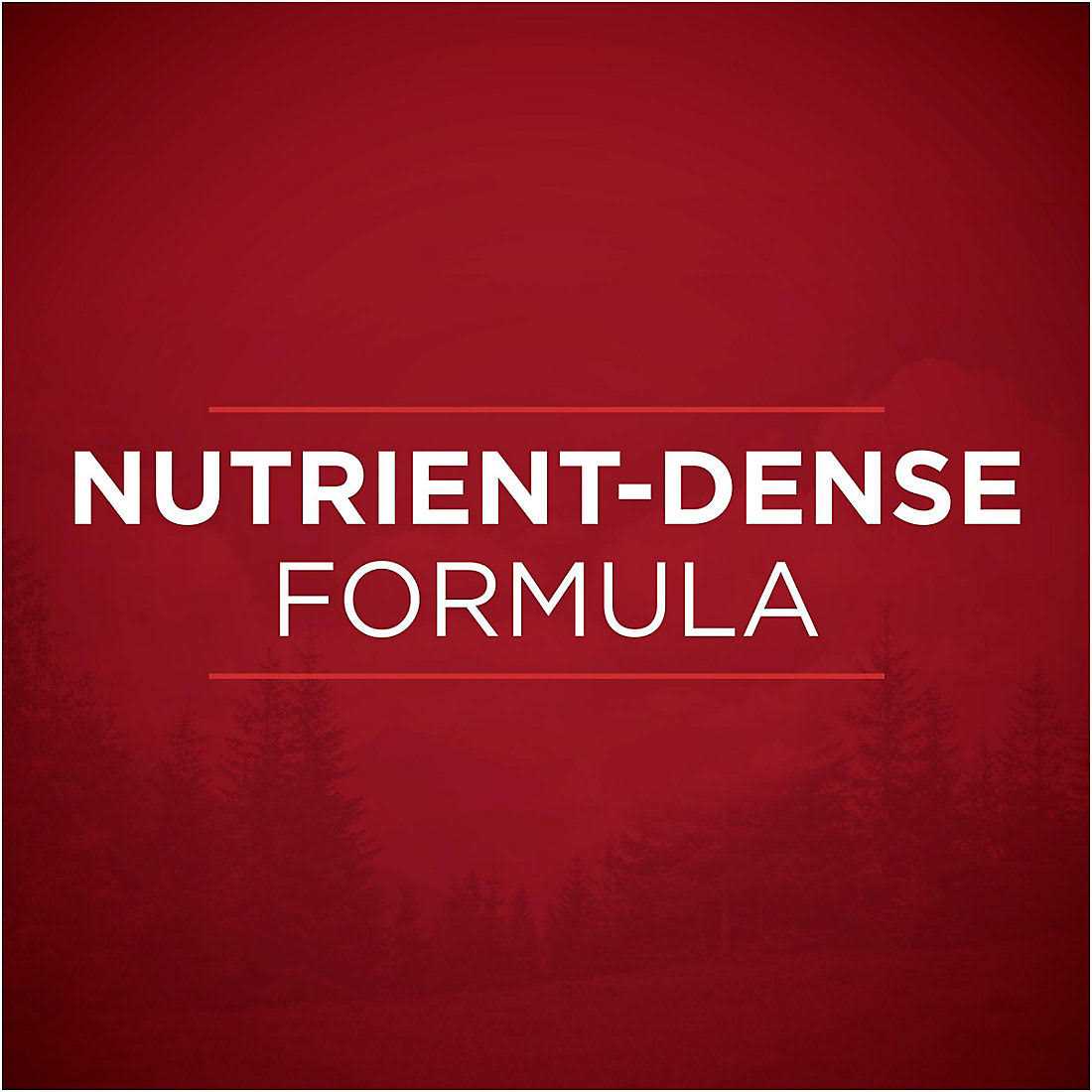 Purina ONE Natural Gravy Wet Dog Food Variety Pack SmartBlend True Instinct Tender Cuts - Healthber
