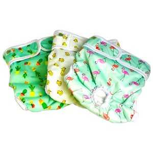 Pet Magasin Washable Female Dog Diapers, Print, X-Small: 10 to 12-in waist, 3 count - Healthber