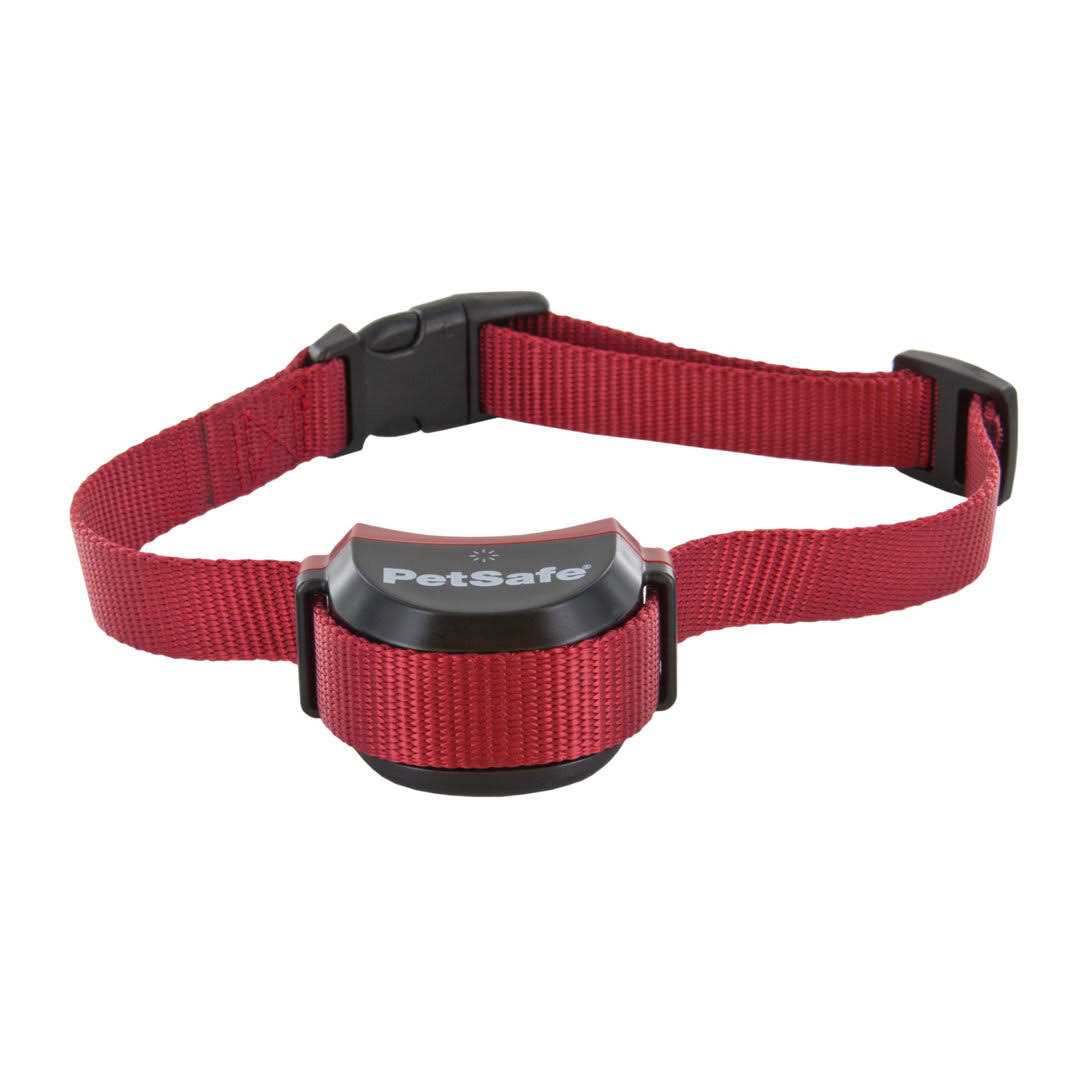 PetSafe Stay Play Wireless Fence for Stubborn Dogs - Healthber