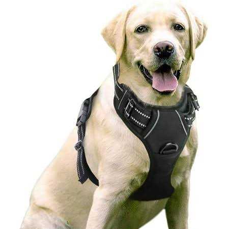 rabbitgoo Dog Harness No Pull Pet Harness with 2 Leash Clips Adjustable Soft Padded Dog Vest - Healthber