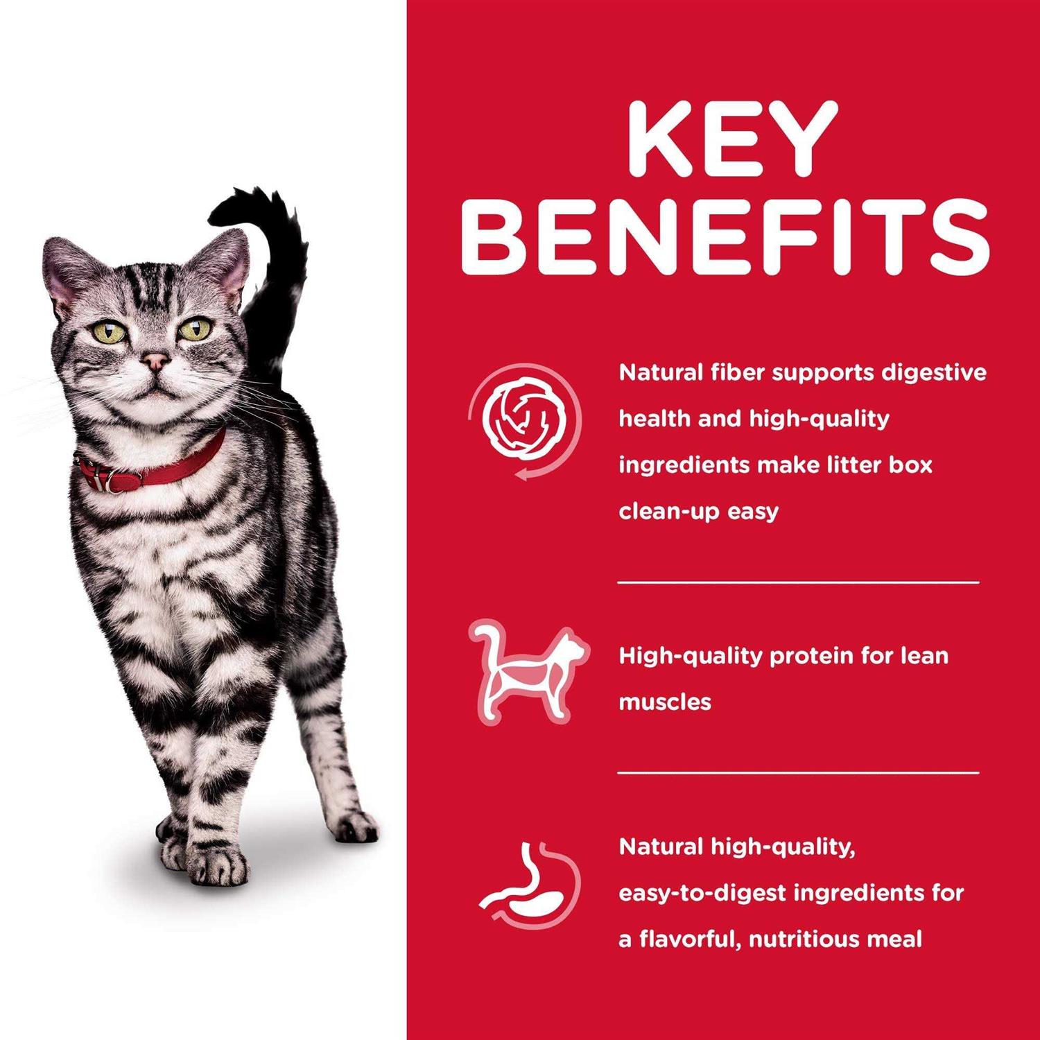 Science Diet Adult Indoor Cat Dry Food - Healthber