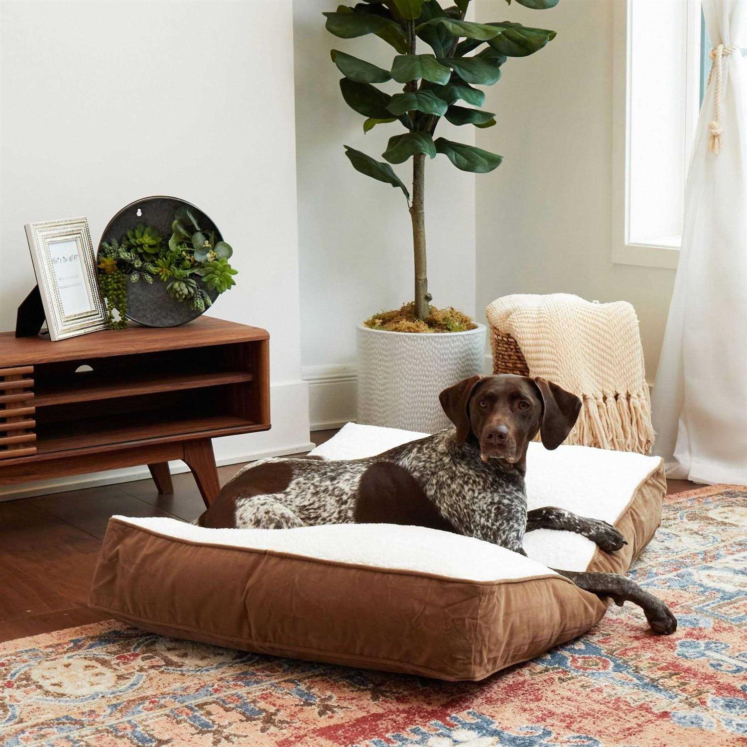 Happy Hounds Bailey Rectangle Pillow Dog Bed w/ Removable COVER - Healthber