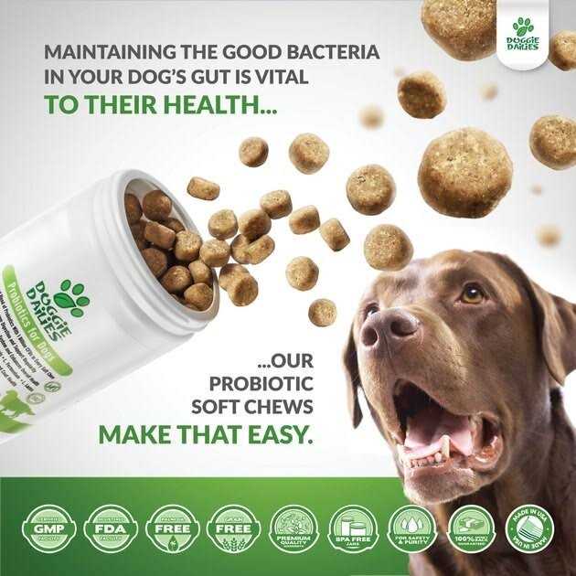 Doggie Dailies Probiotics for Dogs Advanced Dog Probiotics with Prebiotics - Healthber