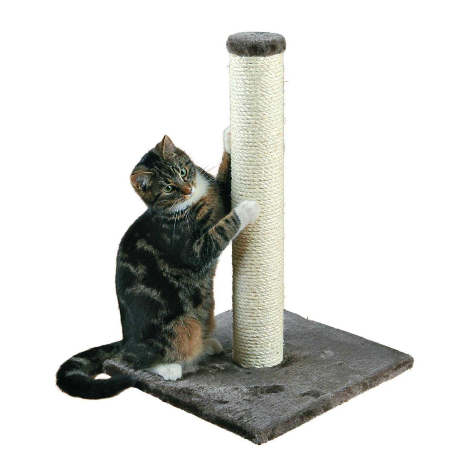 Trixie Parla Scratching Post - Healthber
