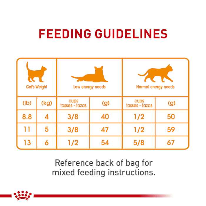 Royal Canin Hair & Skin Care Dry Cat Food - Healthber
