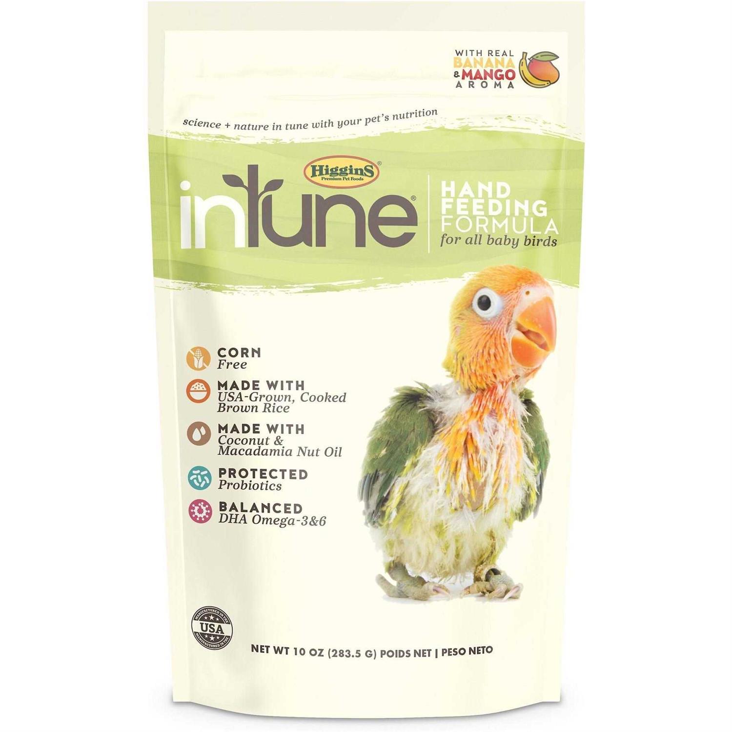 Higgins inTune Hand Feeding for All Baby Birds Food - Healthber