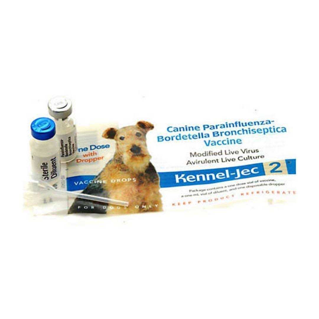 Durvet Kennel-Jec 2 Intra-Nasal - Healthber