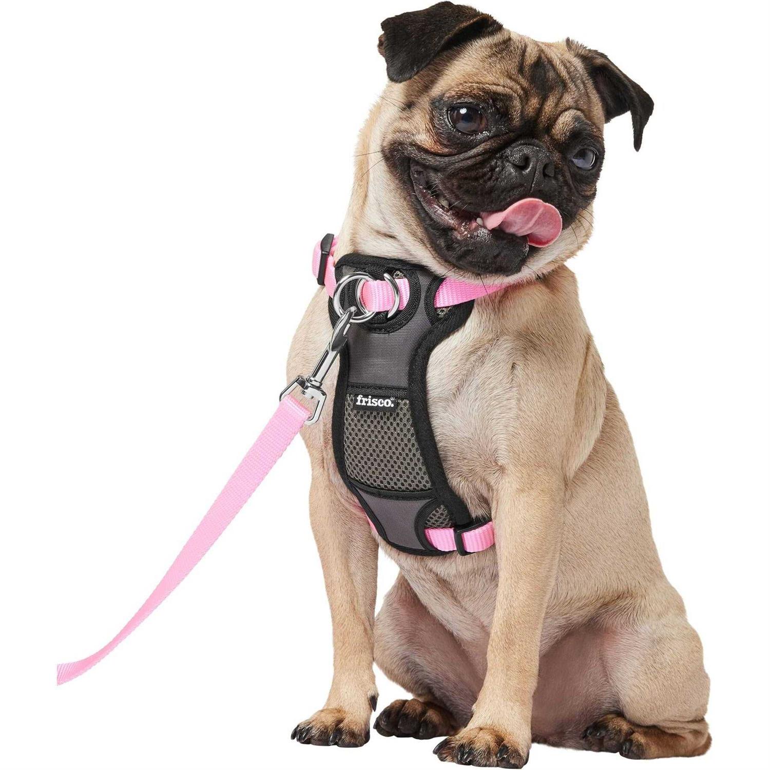 Frisco Padded Nylon No Pull Dog Harness - Healthber