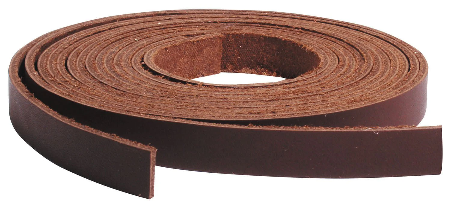 Saddle Strings, Pair, 3/8