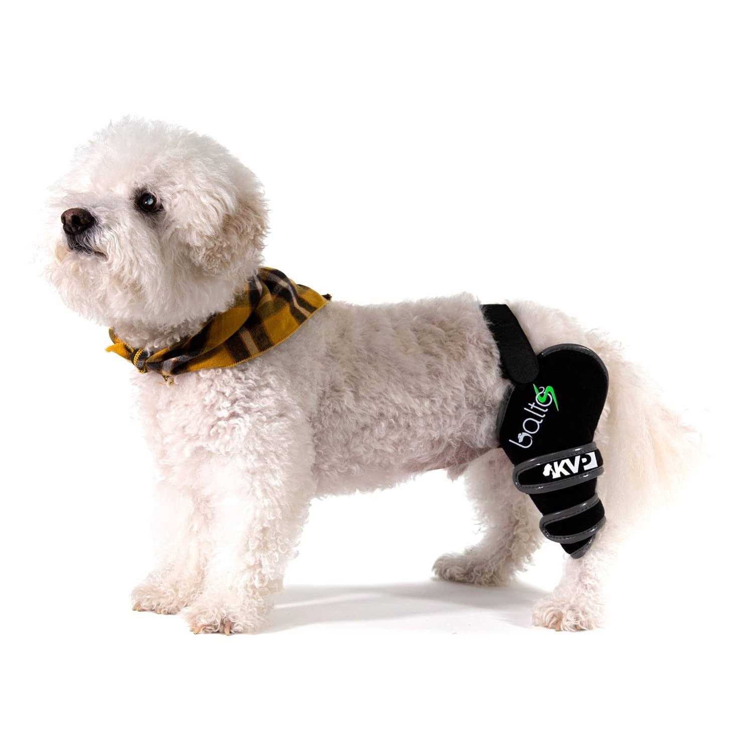 Balto Sport Agile CCL Brace Knee Support for Dogs Soft - Healthber