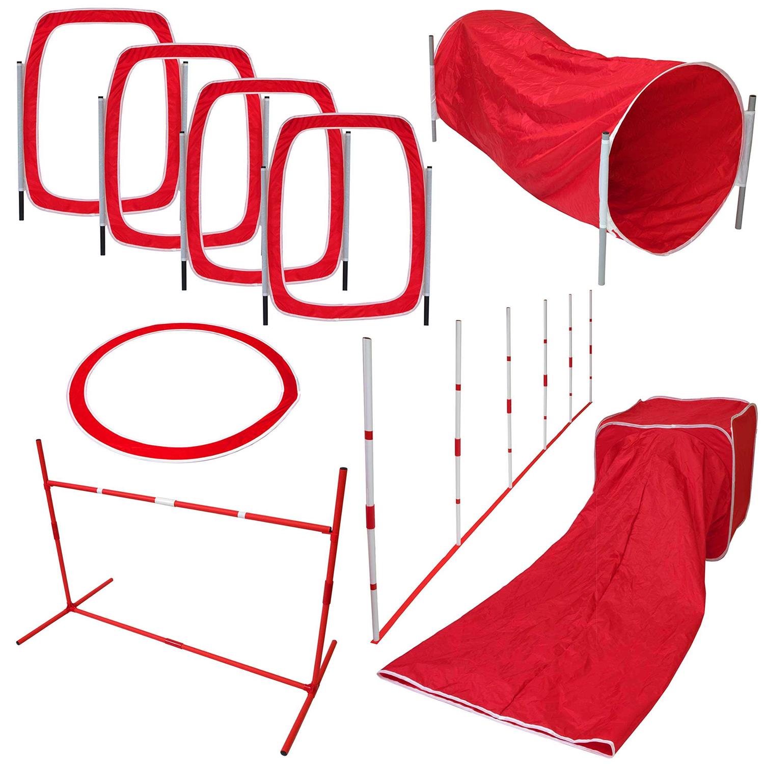 SP Dog 6 Piece Agility Kit - Healthber
