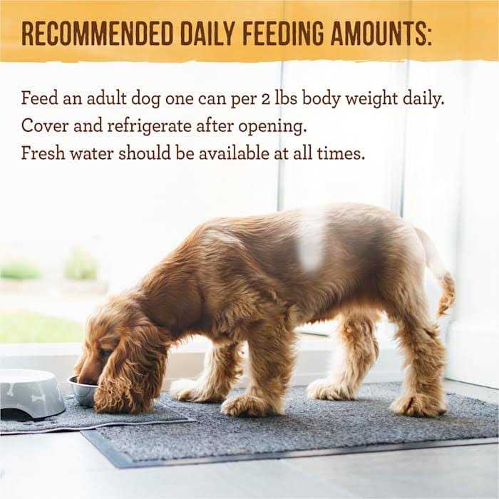 Merrick Pet Care Grain Free Dinner Lil’ Plates Petite Pates Adult Wet Dog Food - Healthber
