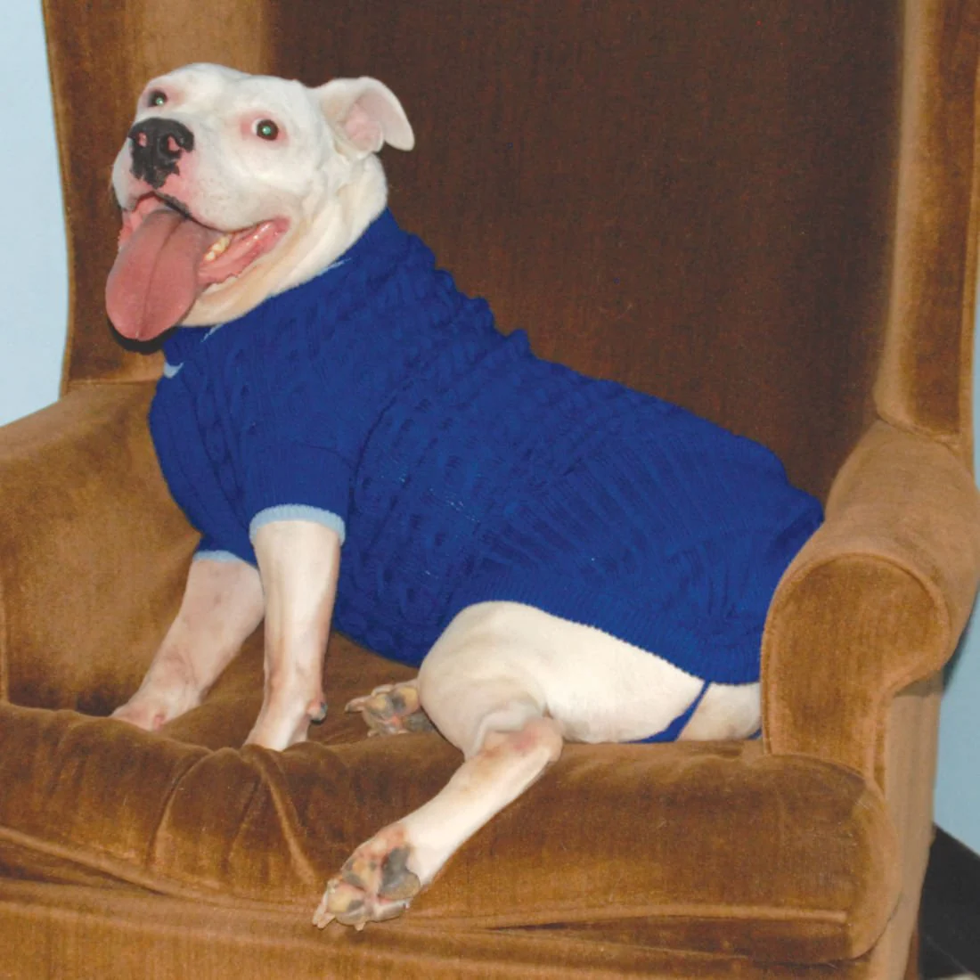 Classic Cable Big Dog Sweater, XX-Large - Healthber