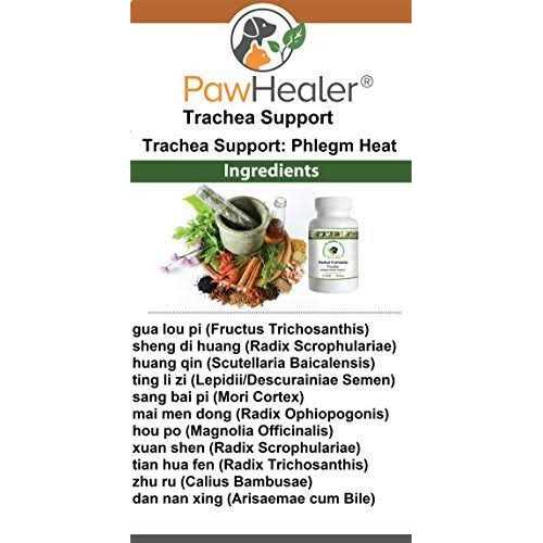PawHealer Trachea Support Dog Cough Remedy - Healthber