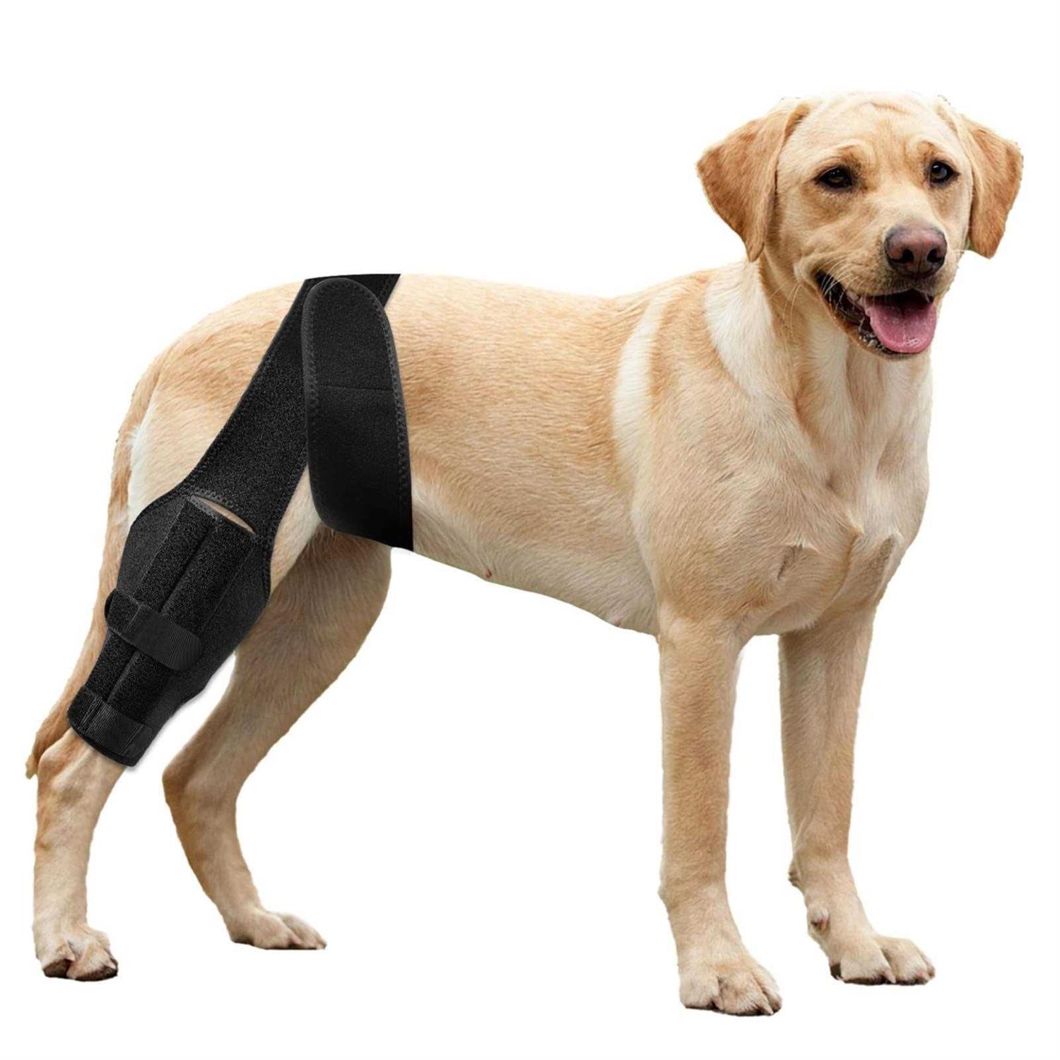 soundfuse Dog Knee Brace, Leg Brace for ACL with Cruciate Ligament Injury, Joint Pain and Muscle Sore - Healthber