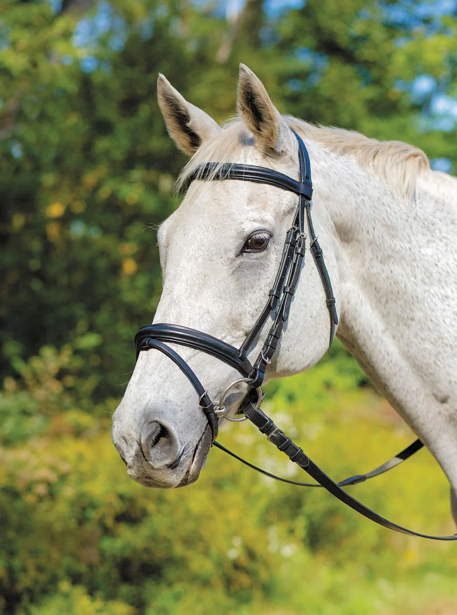 Shires Avignon Louisville Bridle - Healthber