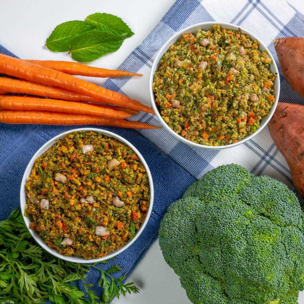 Dr. Harvey’s Specialty Diet Allergy Salmon Recipe, Human Grade Dog Food for Dogs with Sensitivities and Allergies - Healthber