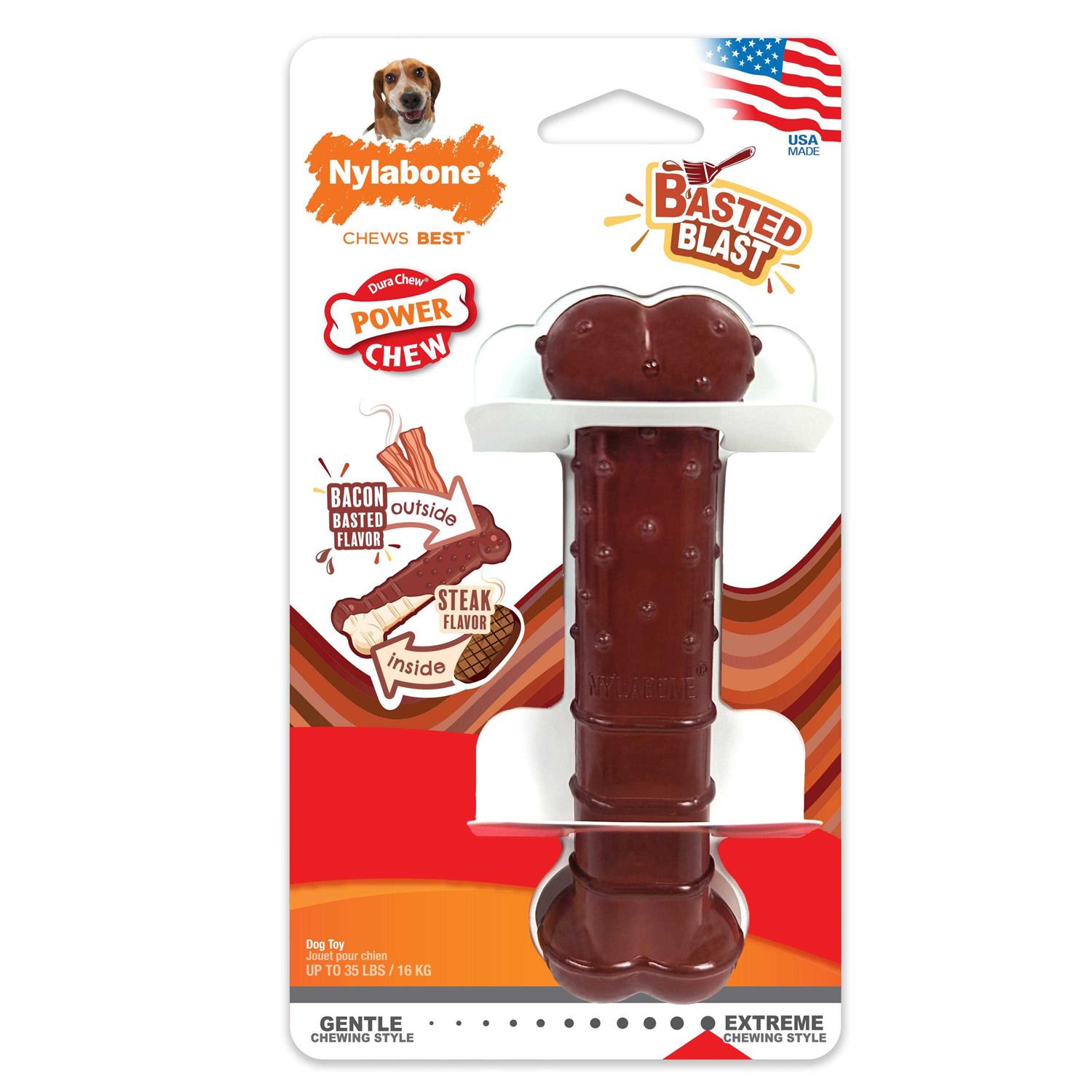 Nylabone Power Basted Blast Dual Flavored Dog Chew Toys - Healthber