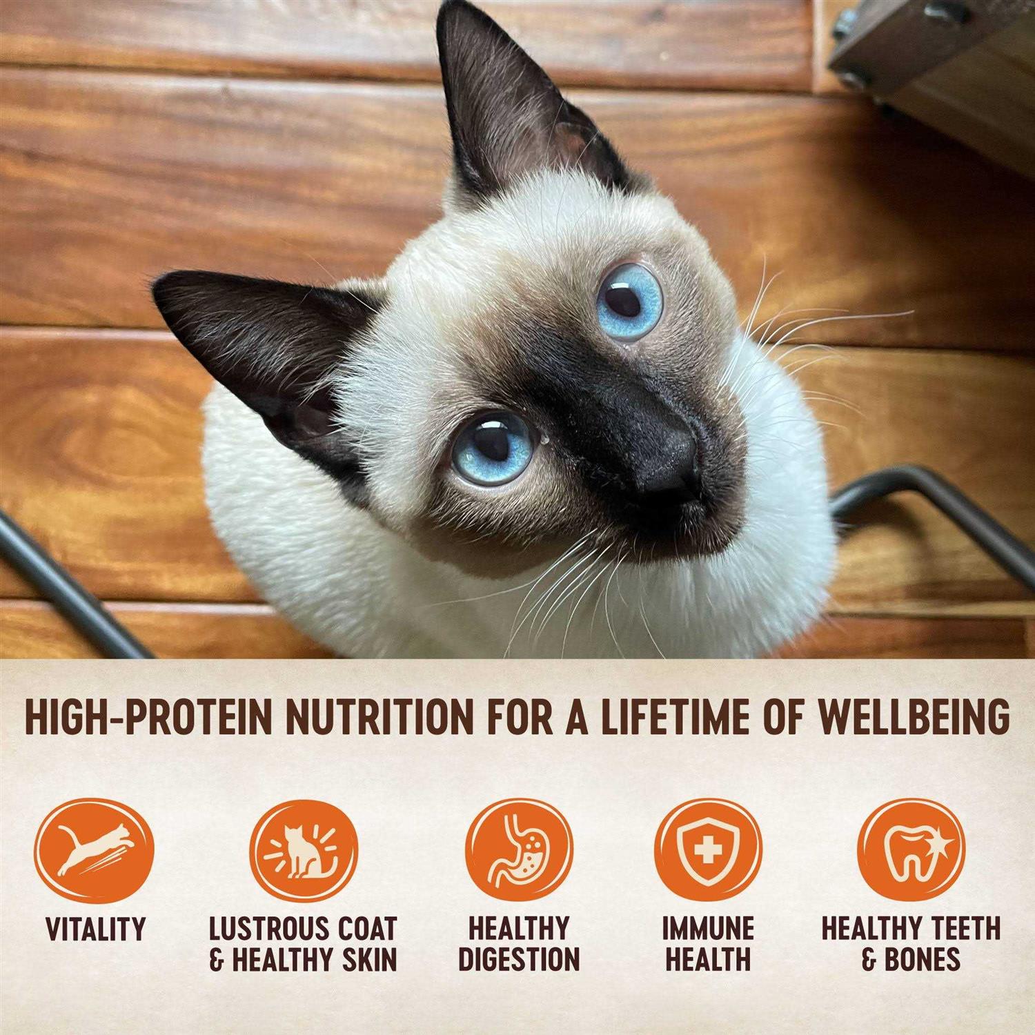 Wellness CORE Natural Grain-Free Turkey & Chicken Liver Pate Canned Kitten Food - Healthber