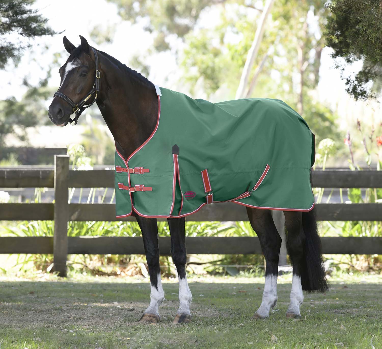 WeatherBeeta ComFITec Prelim Standard Neck Horse Turnout Blanket, Medium Weight - Healthber