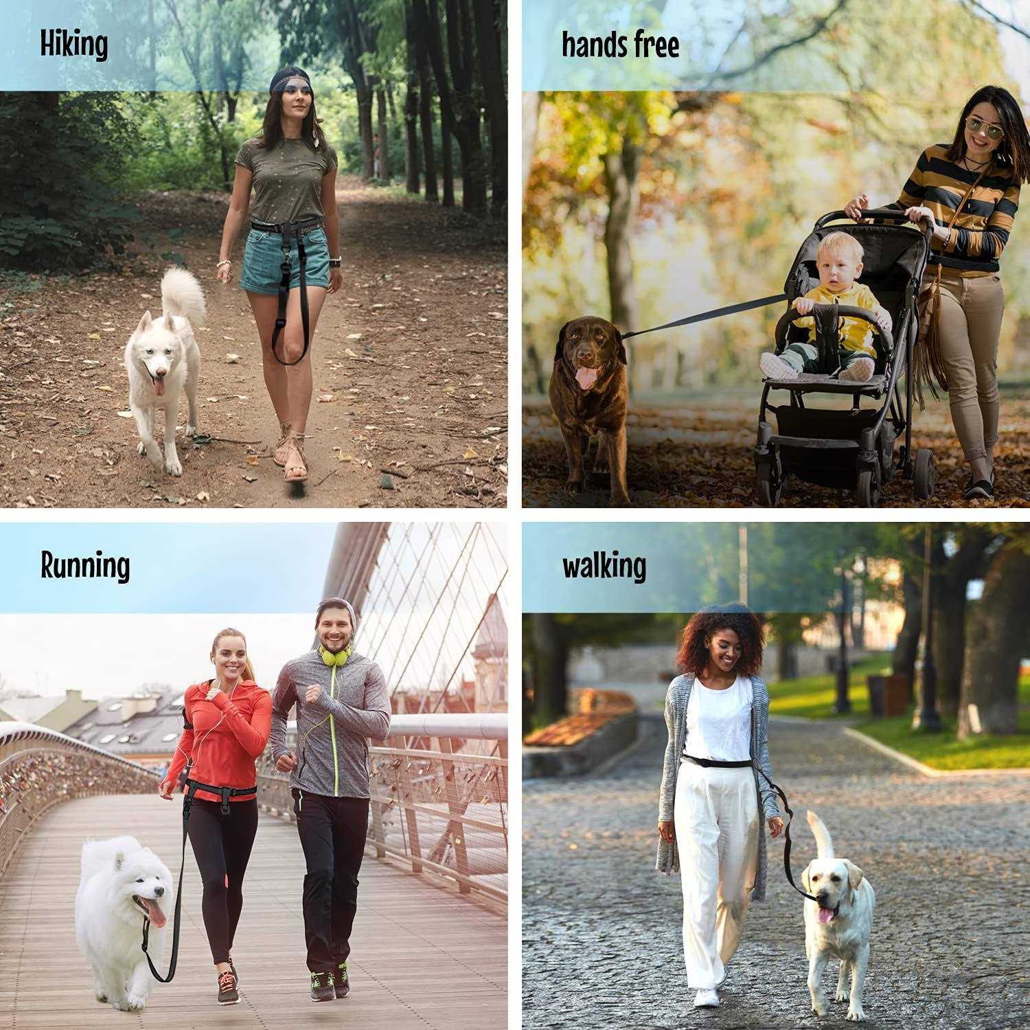 The Buddy System Adjustable Hands Free Dog Leash, Hand-Free Leash for Running, Jogging, Walking, Hiking and Training Service - Healthber