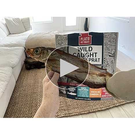 Plato Dog Baltic Herring - Healthber